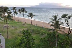 Alii Kahekili Nui Ahumanu Beach Park, dog parks in maui, maui dog parks