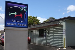 At Home Animal Hospital and Mobile Veterinary Services, vets in Maui, West Maui veterinarians, vets near Ka'anapali, Hawaii