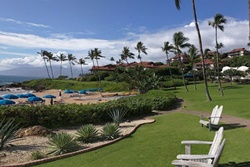 Fairmont Kea Lani Maui, pet friendly Maui hotel, dogs allowed hotels in Maui, Kaanapali dog friendly hotels