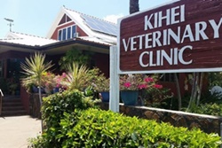 Kihei Veterinary Clinic, vets in Maui, West Maui veterinarians, vets near Ka'anapali, Hawaii