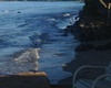 The Makai Inn, pet friendly Maui hotel, dogs allowed hotels in Maui, Kaanapali dog friendly hotels