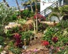 The Makai Inn, pet friendly Maui hotel, dogs allowed hotels in Maui, Kaanapali dog friendly hotels