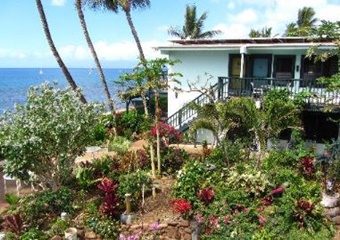 The Makai Inn, pet friendly Maui hotel, dogs allowed hotels in Maui, Kaanapali dog friendly hotels