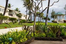Maui Beach Hotel, pet friendly Maui hotel, dogs allowed hotels in Maui, Kaanapali dog friendly hotels