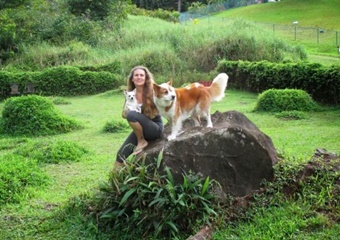 Maui Pet Boarding and Sitting, Ka'anapali pet boarding, Maui dog daycare and grooming Maui
