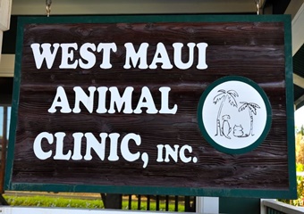 West Maui Animal Clinic, vets in Maui, West Maui veterinarians, vets near Ka'anapali, Hawaii