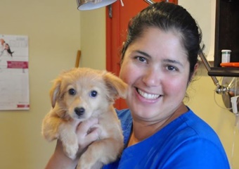 West Maui Animal Clinic, vets in Maui, West Maui veterinarians, vets near Ka'anapali, Hawaii
