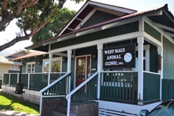 West Maui Animal Clinic, vets in Maui, West Maui veterinarians, vets near Ka'anapali, Hawaii
