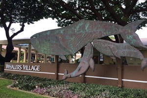 Kaanapali Trolley and Whalers Village, Kaanapali things to do, fun in West Maui, Ka'anapali things to do adventures, Maui attractions